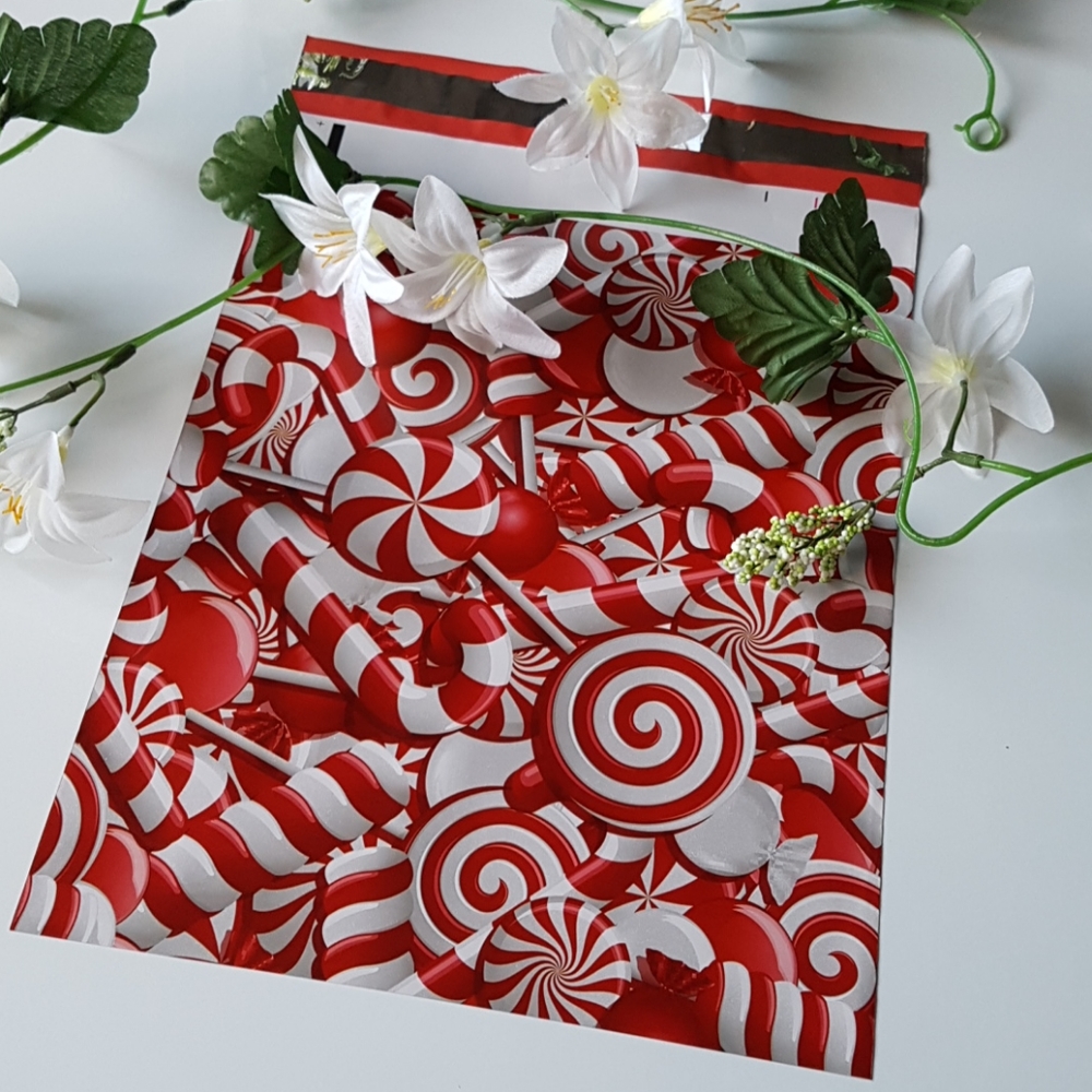 🎅🏼10 pcs Christmas Poly Mailers 10"x13" in